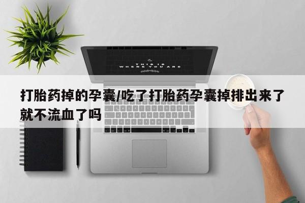 堕胎药叫什么名字微信怎么购买打胎药掉的孕囊/吃了打胎药孕囊掉排出来了就不流血了吗