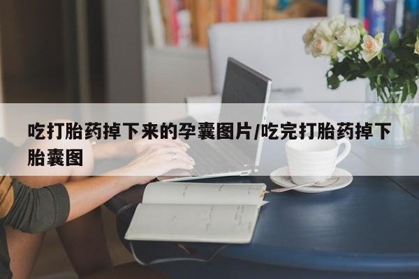 米非司酮片打胎药专卖微信吃打胎药掉下来的孕囊图片/吃完打胎药掉下胎囊图