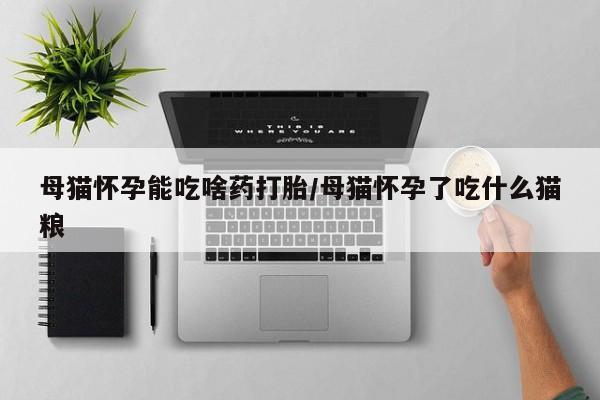 打胎药专卖微信米非司酮片联系方式母猫怀孕能吃啥药打胎/母猫怀孕了吃什么猫粮